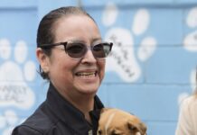 REALIZAN PASEO PARA PERRITOS DEL CENTRO DE ATENCIÓN MUNICIPAL EN ROSARITO