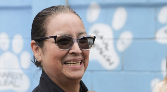 REALIZAN PASEO PARA PERRITOS DEL CENTRO DE ATENCIÓN MUNICIPAL EN ROSARITO
