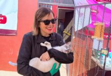 BRINDAN 10 ESTERILIZACIONES GRATUITAS PARA FELINOS Y CANINOS EN ROSARITO