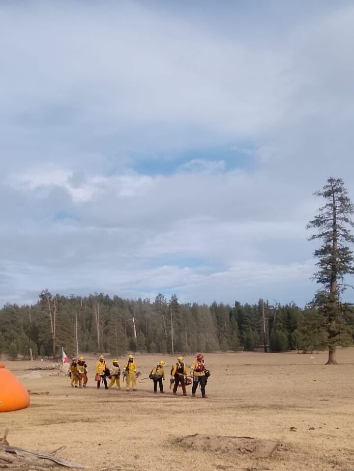 División Forestal incendio San Pedro Mártir
