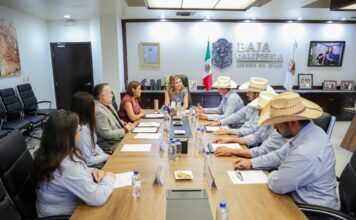 ACUERDA GOBIERNO DE BC APOYO A PRODUCTORES DE TRIGO CRISTALINO CON MIL 500 PESOS POR HECTÁREA