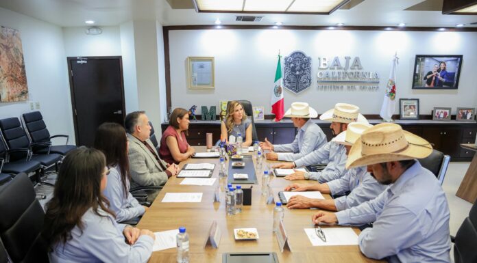 ACUERDA GOBIERNO DE BC APOYO A PRODUCTORES DE TRIGO CRISTALINO CON MIL 500 PESOS POR HECTÁREA