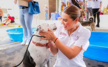 GOBIERNO DE BC PROMUEVE ADOPCIÓN RESPONSABLE PARA DAR HOGAR A ANIMALES RESCATADOS