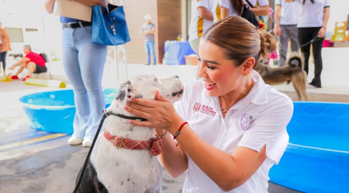 GOBIERNO DE BC PROMUEVE ADOPCIÓN RESPONSABLE PARA DAR HOGAR A ANIMALES RESCATADOS
