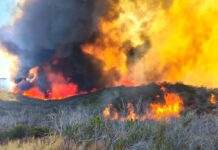 REPORTA BOMBEROS DE ENSENDA CONTROL DE INCENDIO FORESTAL EN EL VALLE DE LA TRINIDAD CON UN 40% DE AVANCE