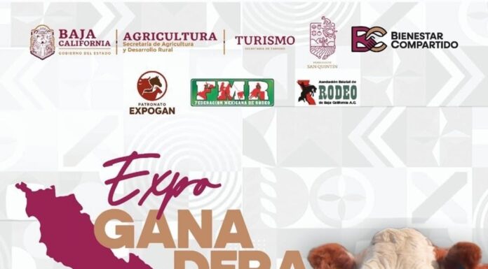 ARRANCA EXPO GANADERA EN SAN QUINTÍN