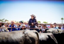 CONCLUYE LA PRIMERA EXPO GANADERA SAN QUINTÍN 2026