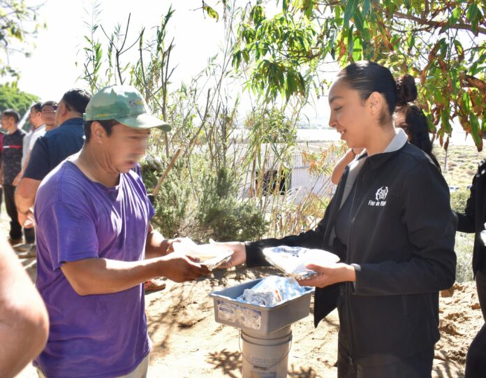 Recuperación Lomas de San Fernando (3)